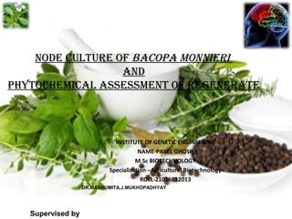 Node culture of Bacopa MoNNieri
aNd
phytocheMical assessMeNt of regeNerate
INSTITUTE OF GENETIC ENGINEERING
NAME-PAYEL GHOSH
M.Sc BIOTECHNOLOGY
Specialization –Agricultural Biotechnology
ROLL-21016012013
: DR.MADHUMITA.J.MUKHOPADHYAY
Supervised by
 