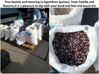 True beauty and meaning in legumbres (pulses) from Castilla and
Navarra,it is a pleasure to dig with your hand and feel and touch the
                                 grain
 