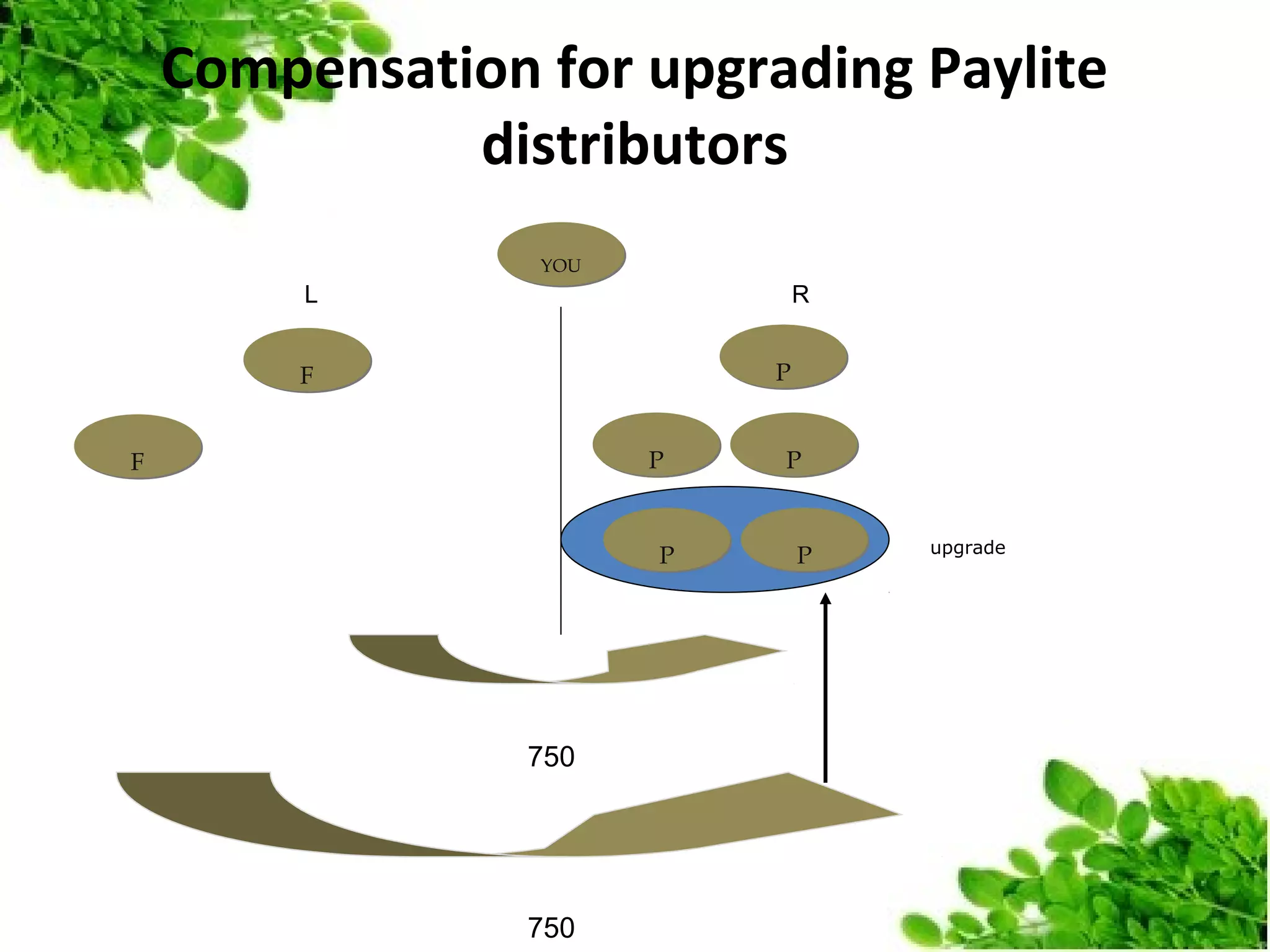Compensation for upgrading Paylite
distributors
YOU

L

R
P

F
P

F

P

750

750

P

P

upgrade

 