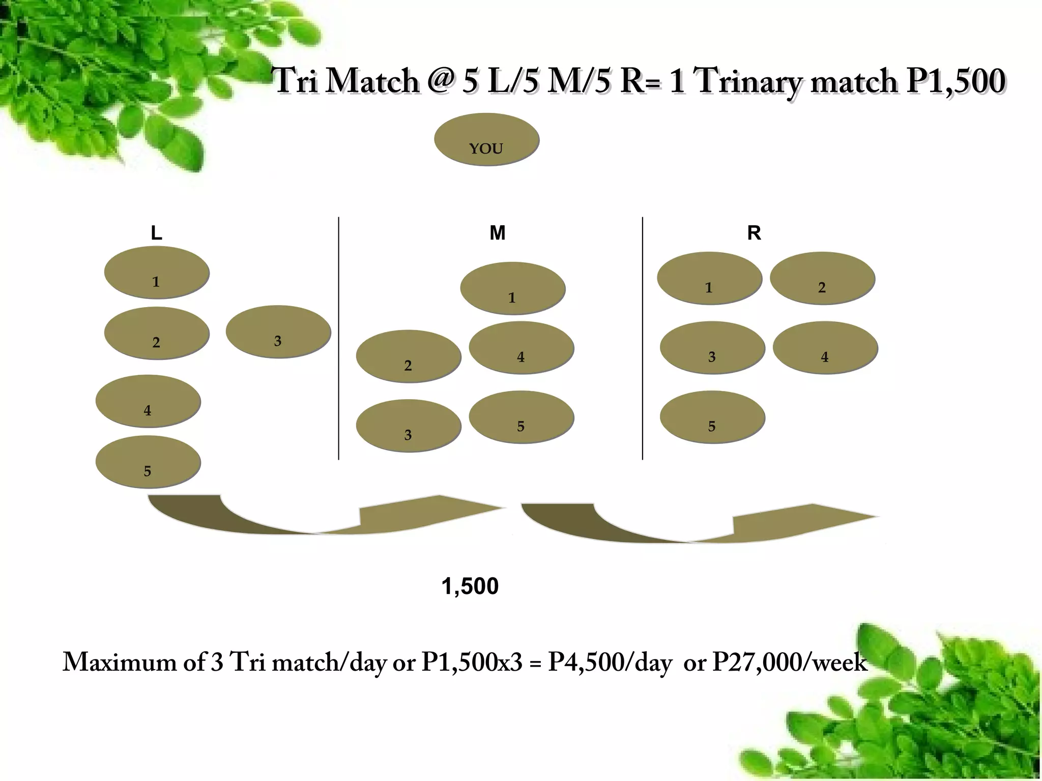 Tri Match @ 5 L/5 M/5 R= 1 Trinary match P1,500
YOU

L

M

1

2

R
1

2

4

3

4

5

5

1
3
2

4
3
5

1,500

Maximum of 3 Tri match/day or P1,500x3 = P4,500/day or P27,000/week

 