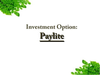 Investment Option:

Paylite

 