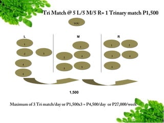 Tri Match @ 5 L/5 M/5 R= 1 Trinary match P1,500
YOU

L

M

1

2

R
1

2

4

3

4

5

5

1
3
2

4
3
5

1,500

Maximum of 3 Tri match/day or P1,500x3 = P4,500/day or P27,000/week

 
