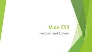 Mule ESB
Payload and Logger
 