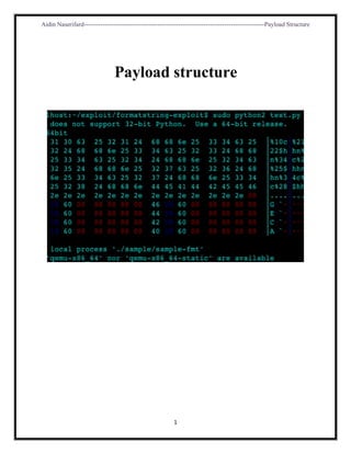 Aidin Naserifard--------------------------------------------------------------------------------------Payload Structure
1
Payload structure
 