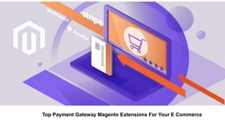 Top Payment Gateway Magento Extensions For Your E Commerce
 