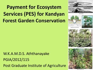 Payment for Ecosystem
Services (PES) for Kandyan
Forest Garden Conservation
W.K.A.M.D.S. Aththanayake
PGIA/2012/115
Post Graduate Institute of Agriculture
 
