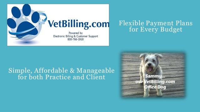 how to stop a chihuahua from barking at strangers