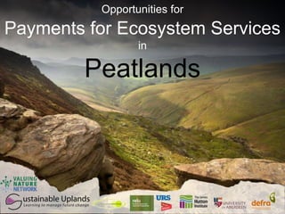 Opportunities for
Payments for Ecosystem Services
                 in

        Peatlands
 