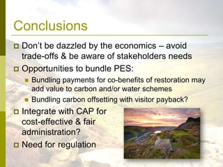 Payments for peatland ecosystem services