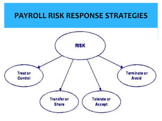 Payroll Control, Risk Management & Fraud Prevention | PPTX