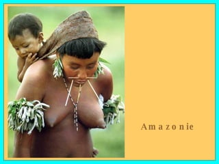 Amazonie 