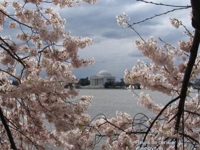 Paysage Amerique
