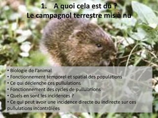  Fonctionnement temporel et spatial des populations