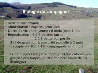 Ce qui déclenche ces pullulations