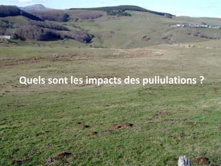 Ce qui peut avoir une incidence directe ou indirecte sur ces pullulations incontrôléesBiologie du campagnol Activité souterraine