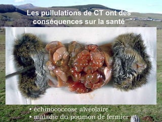  Alimentation : espèces prairiales