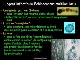  Durée de vie en moyenne : 6 mois (max 1 an)