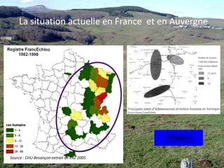 Comment reconnaître les indices de présence ?Plusieurs espèces de rongeurs cohabitent, sans avoir la même activité ni les mêmes impacts. Campagnol terrestreCampagnol des champsTaupe 