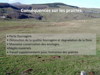 Réalité temporelle du phénomèneIl s’agit d’un phénomène cyclique l’exemple du département du DoubsBrischouxet al., 2000.Données SRPV, FREDON FC.