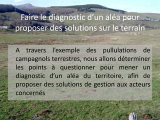 Faire le diagnostic d’un aléa pour proposer des solutions sur le terrain	A travers l’exemple des pullulations de campagnols terrestres, nous allons déterminer les points à questionner pour mener un diagnostic d’un aléa du territoire, afin de proposer des solutions de gestion aux acteurs concernés