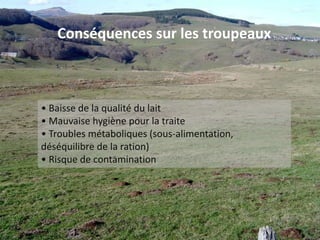 Quels sont les impacts des pullulations ?