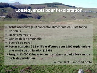 Les pullulations de CT ont des conséquences sur la santé  échinococcose alvéolaire 