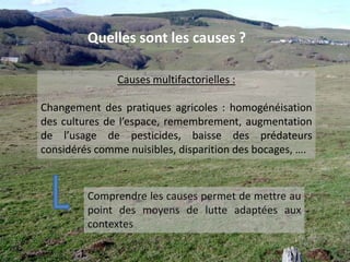 Source : CHU Besançon extrait de ERZ 2005La situation actuelle en France  et en Auvergnewww.eurechinoreg.orgwww.sante.gouv.fr