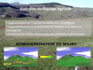 Conséquences sur les prairiesPerte fourragère