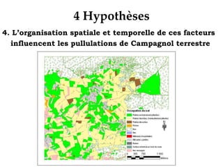  Troubles métaboliques (sous-alimentation, déséquilibre de la ration)