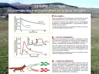 Surcroît de travail