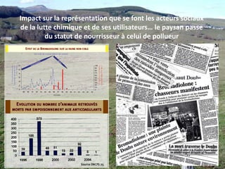 Pertes évaluées à 38 millions d’euros pour 1200 exploitations une année de pullulation (1998)