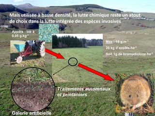 La désolationTsunamiInvasionAlarmantFausses promessesPour toutes ces raisons, la demande pour développer la lutte est très forte