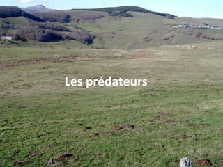 Quelles sont les causes ?Causes multifactorielles :Changement des pratiques agricoles : homogénéisation des cultures de l’espace, remembrement, augmentation de l’usage de pesticides, baisse des prédateurs considérés comme nuisibles, disparition des bocages, ….Comprendre les causes permet de mettre au point des moyens de lutte adaptées aux contextes