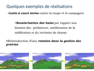  Augmentation de la connectivité de l’habitat favorable aux campagnols