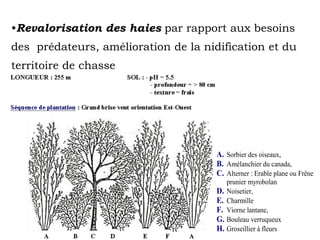  Ouverture du milieu défavorable aux prédateurs généralistesManureManureMineral fertilisationMineral fertilisationMonthJulyJulyMayMayJuneJuneAprilAprilMarchMarchAugustAugustOctoberJanuaryOctoberJanuary February FebruaryNovemberNovemberSeptember DecemberSeptember December...20052004Coef. perturbationMonthJulyJulyMayMayJuneJuneAprilAprilMarchMarchAugustAugustOctoberJanuaryOctoberJanuary February FebruaryNovemberNovemberSeptember DecemberSeptember December4 Hypothèses1. La gestion de l’herbe a un impact sur l’habitat du Campagnol1.2 perturbation