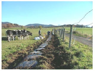 ManureManureMineral fertilisationMineral fertilisationMonthJulyJulyMayMayJuneJuneAprilAprilMarchMarchAugustAugustOctoberJanuaryOctoberJanuary February FebruaryNovemberNovemberSeptember DecemberSeptember December...20052004BiomasseMonthJulyJulyMayMayJuneJuneAprilAprilMarchMarchAugustAugustOctoberJanuaryOctoberJanuary February FebruaryNovemberNovemberSeptember DecemberSeptember December4 Hypothèses1. La gestion de l’herbe a un impact sur l’habitat du Campagnol1.3 ressource alimentaire