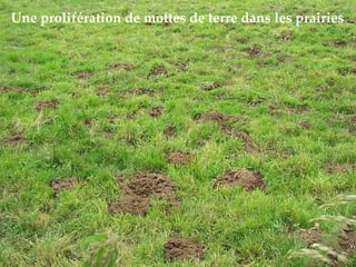 D’abord de manière éparse …