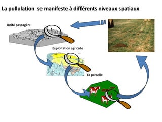 En résumé, les facteurs locaux de pullulation sont soit :liés au paysage:CompositionStructureliés aux pratiques agricoles:Hauteur d’herbeEtat du solComposition prairiale