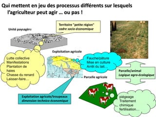 Pour résumer Pratiques agricolesPullulations de campagnolsÉcologieAgronomieSanté publique  Échinococcose alvéolaire198919961992R.O.P.R.E 2001Déclin campagnolsDensité RenardsDensité LièvresContrôle des populations de campagnolsChimiqueBROMADIOLONE?PhysiqueBiologique et agronomique