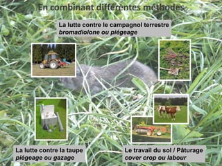 Top catPiège pinceLa lutte physique contre la taupe et le campagnol terrestre1970 :	 seul moyen éprouvé(appâts empoisonnées restent moyens exceptionnels)	 mise au point d ’un premier modèle de piège simple1979 : Mise au point du piège Scherman pour estimation des populationsActuellement :  N’a été utilisé à grande échelle que sur la commune de 	           Mouthe (25) depuis 1999 et ponctuellement sur d’autrescommunes