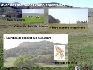 La lutte chimique Désavantage, elle a un impact direct sur la faune non-cible