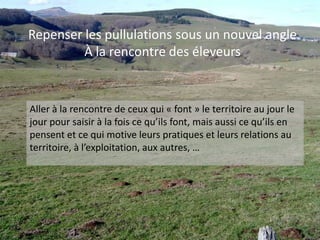 Mais utilisée à basse densité, la lutte chimique reste un atout de choix dans la lutte intégrée des espèces invasivesAppâts : blé à 0,05 g.kg-1Max : 10 g.m-120 kg d’appâts.ha-1Soit 1g de bromadiolone.ha-1Traitements automnaux et printaniersGalerie artificielle