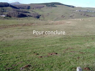 Revalorisation des haies par rapport aux besoins des  prédateurs, amélioration de la nidification et du territoire de chasse