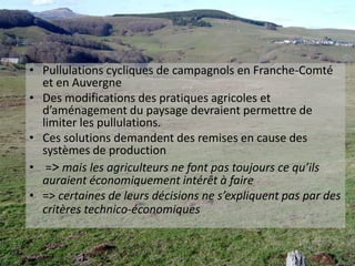 Réintroduction d’une rotationdans la gestion des prairiesRevalorisation des haies par rapport aux besoins des  prédateurs, amélioration de la nidification et du territoire de chasseRevalorisation des haies par rapport aux besoins des  prédateurs, amélioration de la nidification et du territoire de chasseLespratiques agricoles