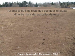 Comment appréhender ce phénomène ?