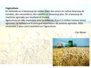 L’agriculture 
En Hollande on a beaucoup de serres. Dans des serres on cultive beacoup de 
tomates, des concombres, des carottes et beaucoup plus. On a beacoup de 
machines agricoles qui récoltent et truient. 
Agriculture est très important pour la Hollande. Il y a 2,3 million hectare terres 
agricoles. La Holland est le principal exportateur de produits agricoles. Mais 
seulement 3 pour cent travaillent en l’agriculture. 
- Cas Wever 
 