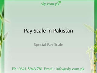 Pay Scale in Pakistan
Special Pay Scale
 