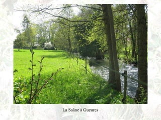 La Saâne à Gueures
 