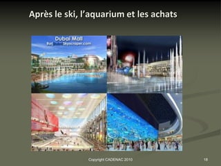 Après le ski, l’aquarium et les achats




               Copyright CADENAC 2010    18
 