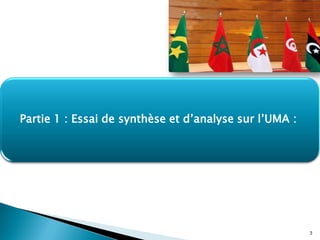 3
Partie 1 : Essai de synthèse et d’analyse sur l’UMA :
 